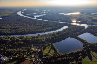 Vue aérienne de Réserve naturelle Ketscher Rheininsel et Altrhein à Ketsch dans le département Bade-Wurtemberg, Allemagne