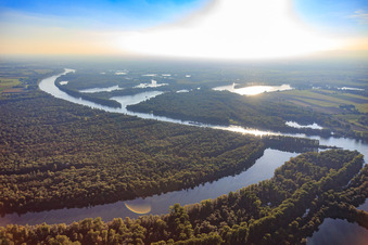 Vue aérienne de Réserve naturelle de Ketscher Rheininsel et Altrhein ainsi que Bollenwörth dans l'Otterstädter Auenwald de l'autre côté du Rhin à Otterstadt dans le département Rhénanie-Palatinat, Allemagne