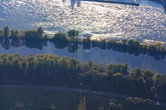 Vue aérienne de Avion de sport au-dessus du Rhin à Altlußheim dans le département Bade-Wurtemberg, Allemagne