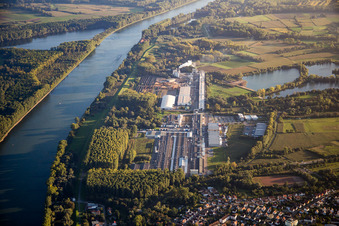 Vue aérienne de Nolte Möbel GmbH & Co. KG et Rheinspan GmbH au bord du Rhin à Germersheim dans le département Rhénanie-Palatinat, Allemagne