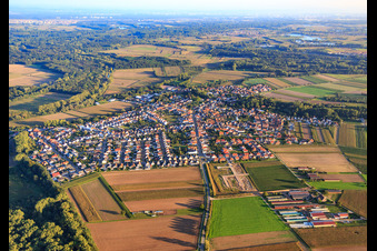 Vue aérienne de Bellheimerstraße vue du nord à Hördt dans le département Rhénanie-Palatinat, Allemagne
