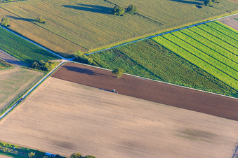 Vue aérienne de Tracteur de labour à Rülzheim dans le département Rhénanie-Palatinat, Allemagne