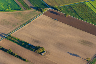Vue aérienne de Tracteur de labour à Rülzheim dans le département Rhénanie-Palatinat, Allemagne