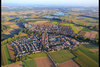 Vue aérienne de Rülzheimer Straße depuis le nord-ouest à Kuhardt dans le département Rhénanie-Palatinat, Allemagne