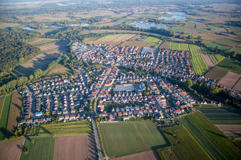 Vue aérienne de Champs agricoles et terres agricoles à Kuhardt dans le département Rhénanie-Palatinat, Allemagne