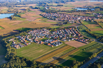 Vue aérienne de Quartier Hardtwald in Neupotz dans le département Rhénanie-Palatinat, Allemagne