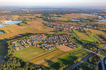 Photographie aérienne de Quartier Hardtwald in Neupotz dans le département Rhénanie-Palatinat, Allemagne