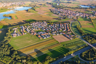 Vue oblique de Quartier Hardtwald in Neupotz dans le département Rhénanie-Palatinat, Allemagne