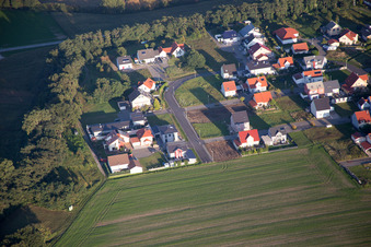 Vue aérienne de Bague fleur à le quartier Hardtwald in Neupotz dans le département Rhénanie-Palatinat, Allemagne