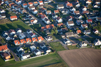 Vue oblique de Bague fleur à le quartier Hardtwald in Neupotz dans le département Rhénanie-Palatinat, Allemagne