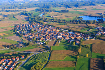 Vue aérienne de Vue du village depuis le nord-ouest à Neupotz dans le département Rhénanie-Palatinat, Allemagne