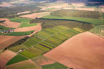 Photographie aérienne de Quartier Reicholzheim in Wertheim dans le département Bade-Wurtemberg, Allemagne