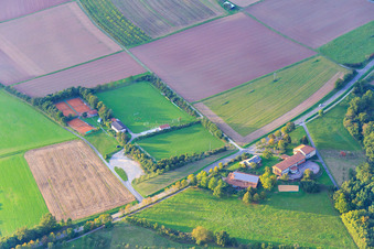 Vue aérienne de Terrains de sport à la Werkrealschule Urphar/Lindelbach à le quartier Urphar in Wertheim dans le département Bade-Wurtemberg, Allemagne