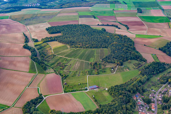 Photographie aérienne de Quartier Dertingen in Wertheim dans le département Bade-Wurtemberg, Allemagne