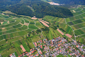 Vue aérienne de Vignoble franconien « Hönigsbergm-Fischberg » dans le village sur le Main à Thüngersheim dans le département Bavière, Allemagne