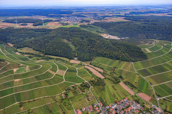 Vue aérienne de Vignoble franconien « Hönigsbergm-Fischberg » dans le village sur le Main à Thüngersheim dans le département Bavière, Allemagne