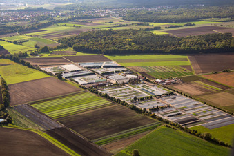 Vue aérienne de Crèche Dieter Denze à Gochsheim dans le département Bavière, Allemagne