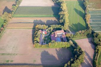 Vue aérienne de Leistenmühle du nord-ouest à Erlenbach bei Kandel dans le département Rhénanie-Palatinat, Allemagne