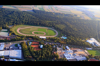 Vue aérienne de MSV Speedway dans la forêt à Herxheim bei Landau dans le département Rhénanie-Palatinat, Allemagne