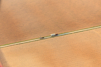 Vue aérienne de Promenade en chariot couvert avec des chevaux à Herxheim bei Landau dans le département Rhénanie-Palatinat, Allemagne