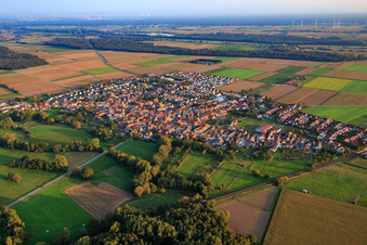 Vue aérienne de Vue du village depuis le nord-ouest à Steinweiler dans le département Rhénanie-Palatinat, Allemagne