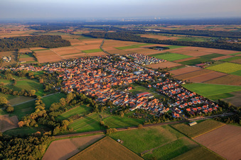 Photographie aérienne de Vue du village depuis le nord-ouest à Steinweiler dans le département Rhénanie-Palatinat, Allemagne
