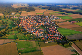 Vue aérienne de Vue du village depuis l'ouest à Steinweiler dans le département Rhénanie-Palatinat, Allemagne