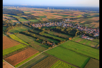 Vue aérienne de Vue du village depuis le nord-ouest à Billigheim-Ingenheim dans le département Rhénanie-Palatinat, Allemagne