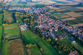Vue oblique de Vue du village depuis le nord-ouest à Billigheim-Ingenheim dans le département Rhénanie-Palatinat, Allemagne