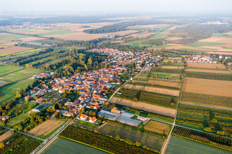 Vue aérienne de Champs agricoles et terres agricoles à Winden dans le département Rhénanie-Palatinat, Allemagne