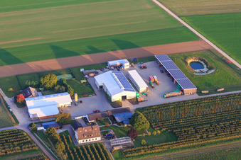 Vue aérienne de Ferme biologique Bauers Garten du Nord-Ouest à Winden dans le département Rhénanie-Palatinat, Allemagne