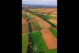 Aérodrome modèle du club de modélisme Freckenfeld eV du sud-ouest à Freckenfeld dans le département Rhénanie-Palatinat, Allemagne hors des airs
