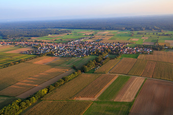 Vue aérienne de Vue d'ensemble du village depuis l'ouest à Freckenfeld dans le département Rhénanie-Palatinat, Allemagne