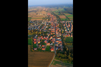 Vue oblique de Vue d'ensemble du village depuis l'ouest à Freckenfeld dans le département Rhénanie-Palatinat, Allemagne