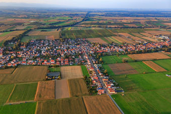 Vue oblique de Vue d'ensemble du village depuis le sud à Freckenfeld dans le département Rhénanie-Palatinat, Allemagne