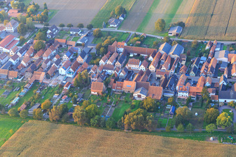 Vue aérienne de Raiffeisenstrasse à Freckenfeld dans le département Rhénanie-Palatinat, Allemagne