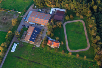 Vue aérienne de Haras islandais de Bienwald à Freckenfeld dans le département Rhénanie-Palatinat, Allemagne