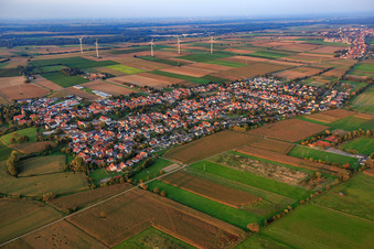Vue oblique de Vue d'ensemble du village depuis le sud-ouest à Minfeld dans le département Rhénanie-Palatinat, Allemagne