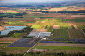 Vue aérienne de Aventure Paramoteur Alsace à Stephansfeld dans le département Bas Rhin, France