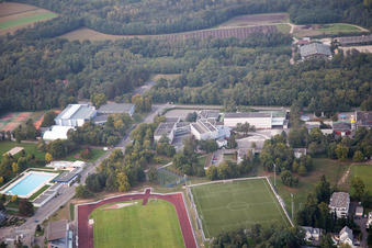 Bischwiller dans le département Bas Rhin, France vu d'un drone