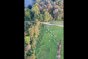 Fort-Louis dans le département Bas Rhin, France hors des airs