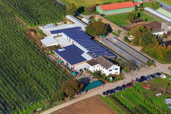 Vue oblique de Marché agricole de Zapf, ferme de fruits et d'asperges, café de la ferme Zapf à Kandel dans le département Rhénanie-Palatinat, Allemagne