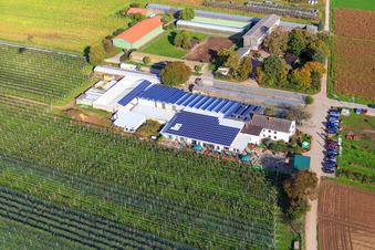 Marché agricole de Zapf, ferme de fruits et d'asperges, café de la ferme Zapf à Kandel dans le département Rhénanie-Palatinat, Allemagne hors des airs