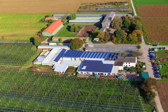 Marché agricole de Zapf, ferme de fruits et d'asperges, café de la ferme Zapf à Kandel dans le département Rhénanie-Palatinat, Allemagne vue d'en haut