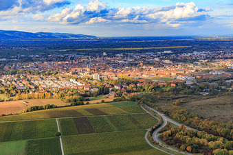 Vue aérienne de Weißenburger Straße depuis le sud à Landau in der Pfalz dans le département Rhénanie-Palatinat, Allemagne