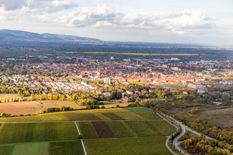 Vue aérienne de Vue des rues et des maisons dans les quartiers résidentiels à Landau in der Pfalz dans le département Rhénanie-Palatinat, Allemagne