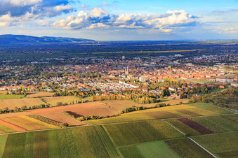 Vue aérienne de Vue de la ville depuis le sud à Landau in der Pfalz dans le département Rhénanie-Palatinat, Allemagne