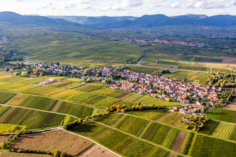 Vue aérienne de Vue de la végétation aux couleurs automnales des vignobles en Wollmesheim à le quartier Wollmesheim in Landau in der Pfalz dans le département Rhénanie-Palatinat, Allemagne