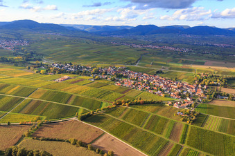 Vue aérienne de Vue du village entre les vignes automnales depuis le sud à le quartier Wollmesheim in Landau in der Pfalz dans le département Rhénanie-Palatinat, Allemagne