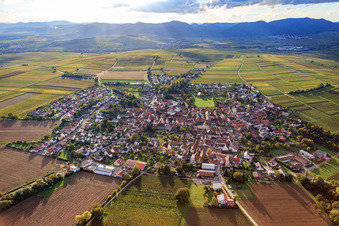 Vue aérienne de Vue de la ville entre les vignes automnales depuis l'est à le quartier Mörzheim in Landau in der Pfalz dans le département Rhénanie-Palatinat, Allemagne